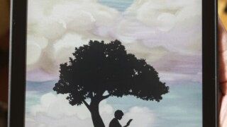 Thumbnail of post image 169